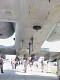 a10belly.jpg