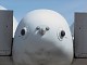 a10rearmarkers.jpg