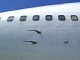 747_03.jpg