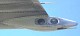 dc8_30.jpg