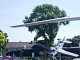 wing_por.jpg