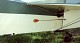 auster_11.jpg