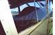auster_1.jpg