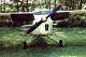 auster_4.jpg