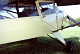 auster_9.jpg