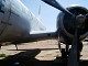 wing_pi.jpg