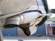 c47_10.jpg