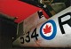 canuck_21.jpg