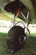 dc306.jpg