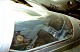 delph03.jpg