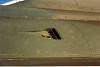 draken03.jpg