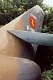 f84_19.jpg