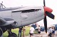 firefly_01.jpg