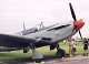 firefly_02.jpg
