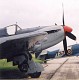 firefly_03.jpg