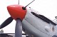 firefly_04.jpg