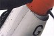 firefly_05.jpg