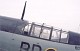 firefly_07.jpg