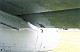 firefly_10.jpg