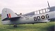 firefly_12.jpg