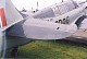 firefly_18.jpg