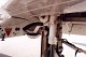 goshawk_03.jpg