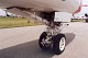 goshawk_05.jpg