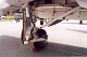 goshawk_06.jpg