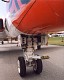 goshawk_07.jpg