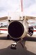 goshawk_08.jpg