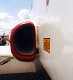goshawk_09.jpg