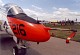 goshawk_12.jpg