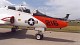 goshawk_13.jpg