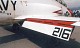 goshawk_16.jpg