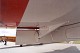 goshawk_17.jpg