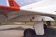 goshawk_19.jpg
