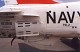 goshawk_21.jpg
