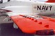 goshawk_22.jpg
