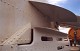 goshawk_24.jpg