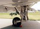 goshawk_26.jpg
