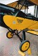 gypsy_07.jpg