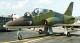 hawk_01.jpg