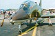 hawk_02.jpg