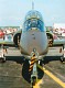 hawk_03.jpg