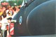 hawk_05.jpg