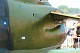 hawk_06.jpg