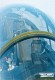 hawk_09.jpg