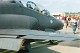 hawk_14.jpg