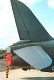 hawk_15.jpg