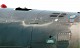 hawk_19.jpg